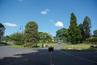 DSC 0878