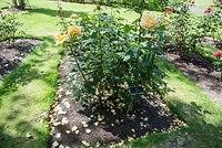 DSC 0998