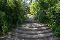 DSC 1069