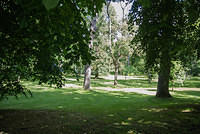 DSC 1170
