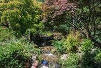 DSC 1207