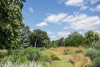 DSC 1233