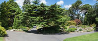 Untitled Panorama2