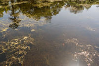 DSC 1600
