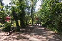 DSC 1608