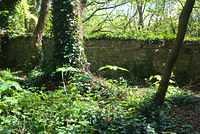DSC 1880