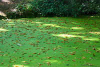 DSC 2757