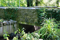 DSC 2808