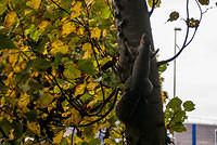 DSC 5029