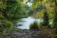 DSC 5059
