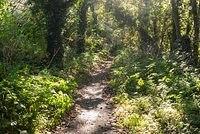 DSC 5148