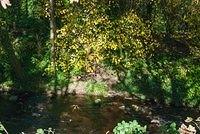 DSC 5157