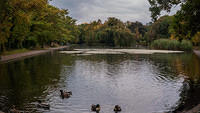 Untitled Panorama3