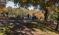 Untitled Panorama6