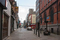 DSC 8875