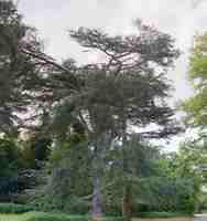 Untitled Panorama6