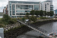 DSC 1805