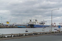 DSC 1825