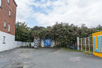 DSC 1867