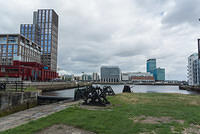 DSC 1883