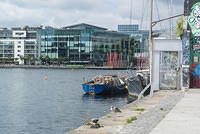 DSC 1926