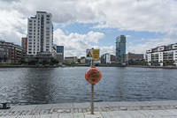 DSC 1933