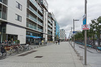 DSC 1982