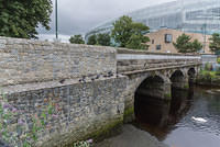 DSC 2043