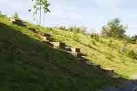 DSC 0250