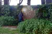 DSC 0294