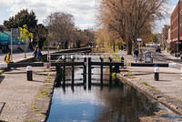 DSC 8571