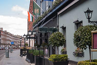 DSC 8596