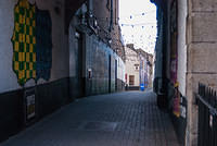 DSC 8775