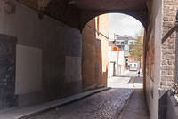 DSC 8974