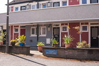 DSC 8985