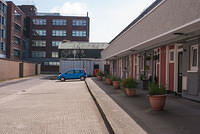 DSC 8987