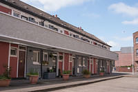 DSC 8990