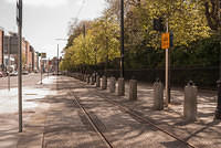 DSC 9142