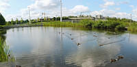 Untitled Panorama2