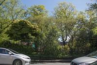 DSC 0302