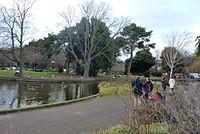 Herbert Park