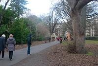 DSC 0553