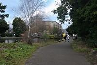 DSC 0558