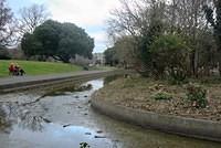 DSC 0566