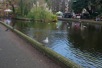 DSC 0579