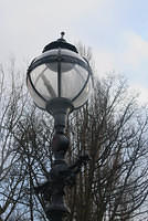 DSC 0601