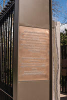 DSC 8619
