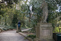DSC 8632