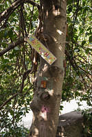 DSC 8651