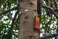 DSC 8656
